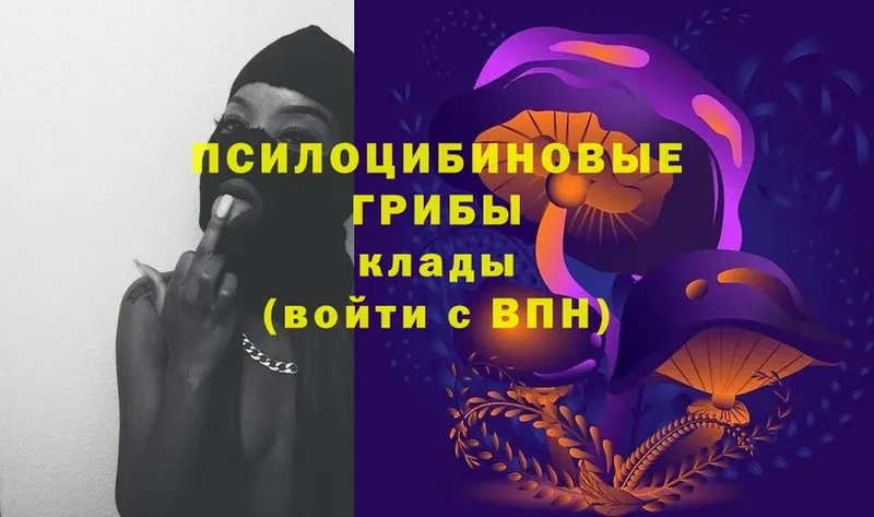 как найти наркотики  Воскресенск  Галлюциногенные грибы Psilocybe 